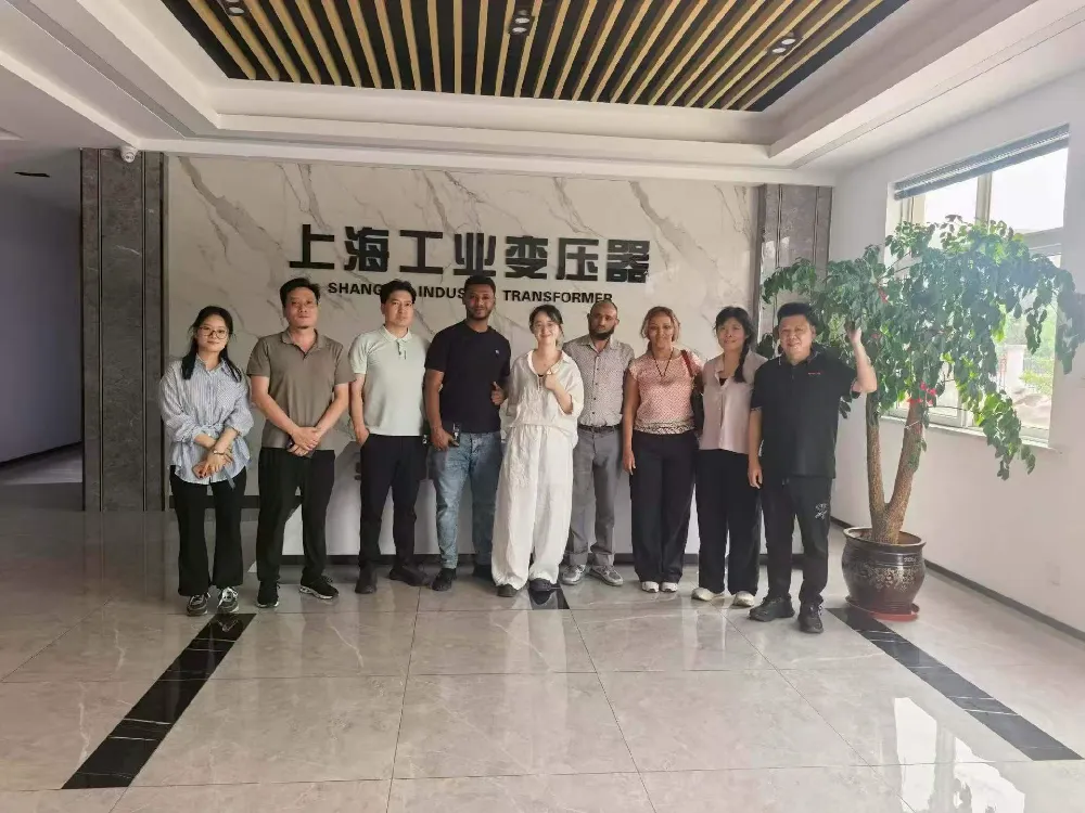 Топло добредојде! Делегација на Етиопија го посети Шангај Industrial Transformer Co., Ltd. за размена на трансформатори и опрема за дистрибуција на енергија
